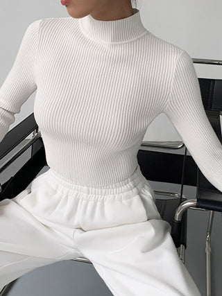 Knit Rib Long Sleeve Mock Neck Crop Top