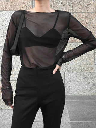 Sheer Long Sleeve Mesh Top