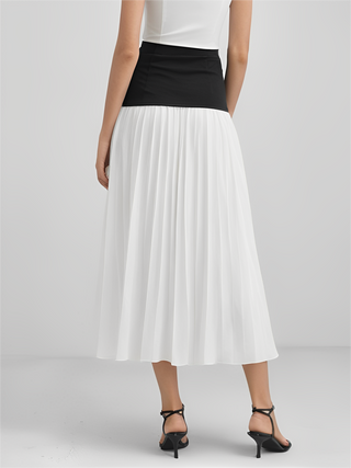 Chiffon Pleated High Waist Skirt