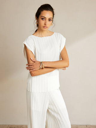 Casual Semi-Sheer Pleated Pants Set