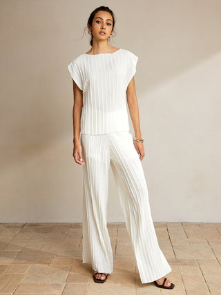 Casual Semi-Sheer Pleated Pants Set