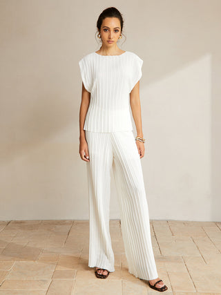 Casual Semi-Sheer Pleated Pants Set